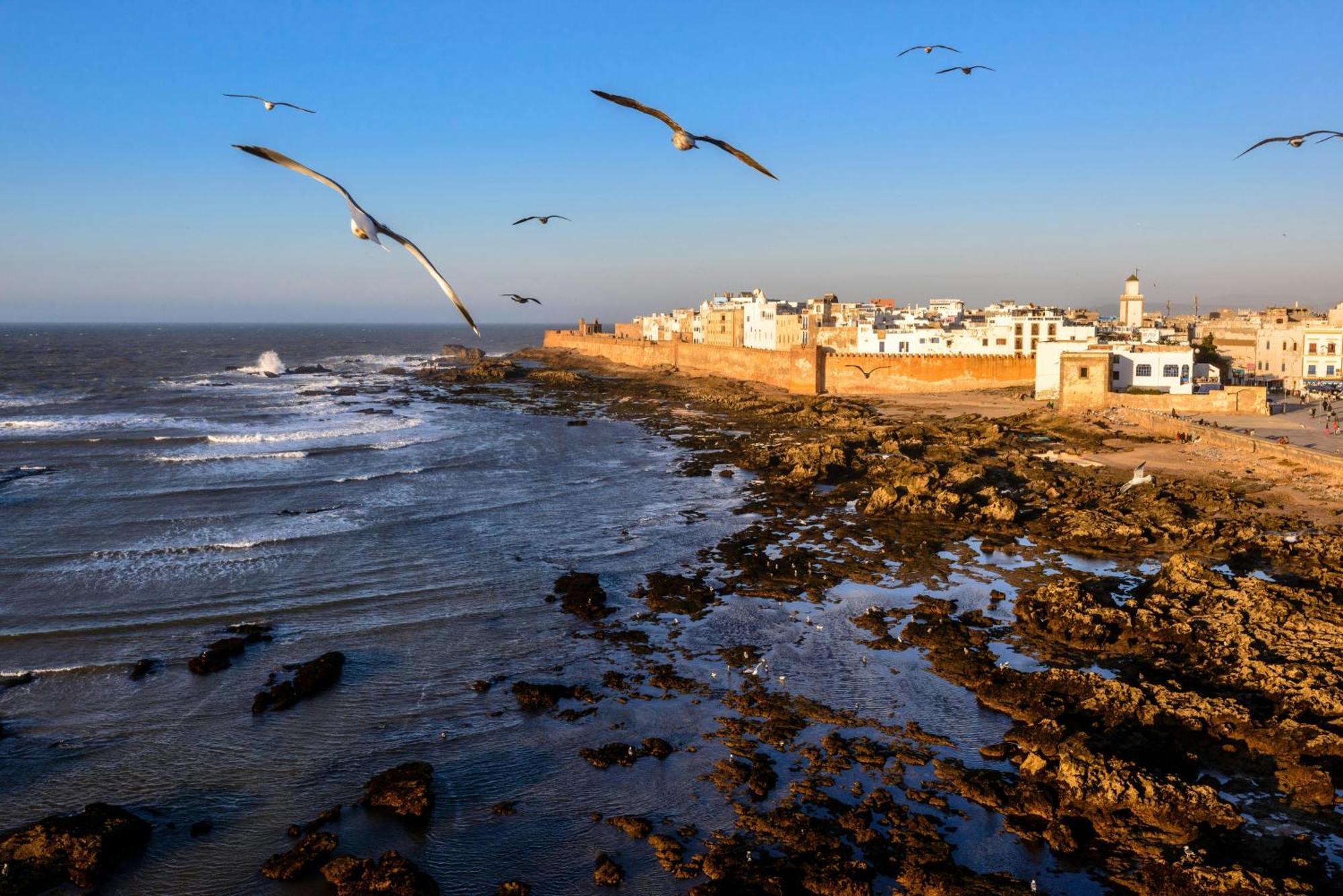 Dar Saffron Essaouira Lägenhet Exteriör bild